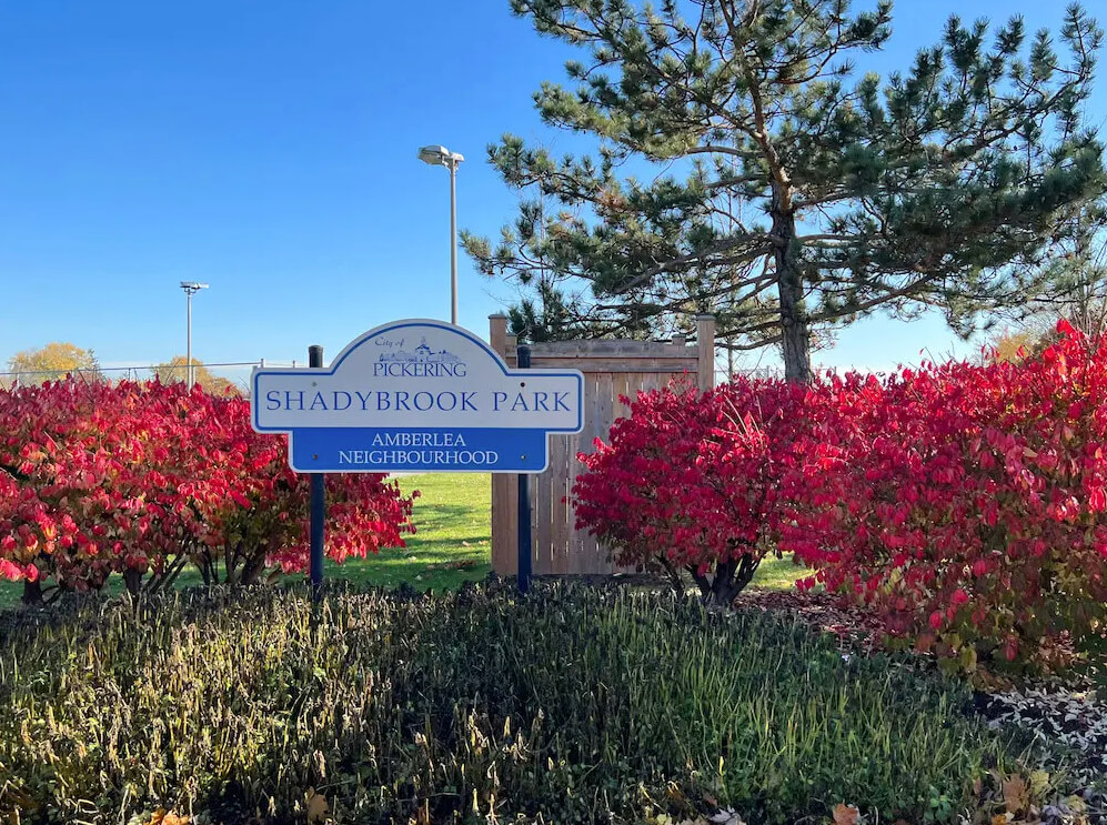 Signage of Shadybrook Park in the Amberlea neighborhood